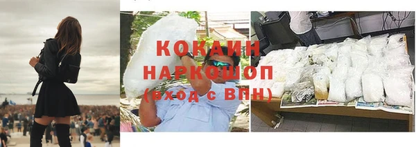 хмурый Новозыбков
