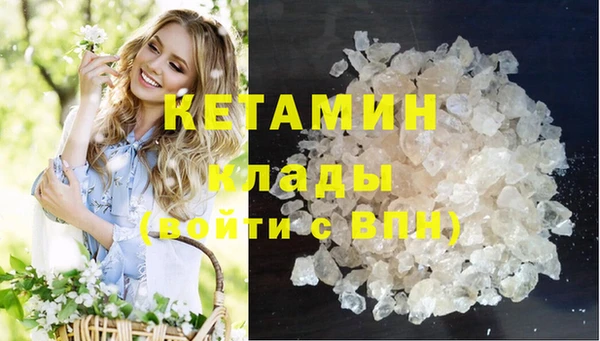 хмурый Новозыбков
