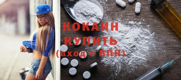 шишки Новокубанск