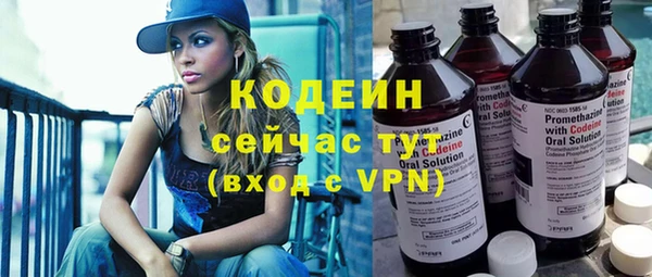 хмурый Новозыбков