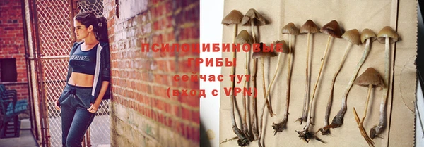 шишки Новокубанск