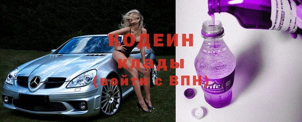 хмурый Новозыбков