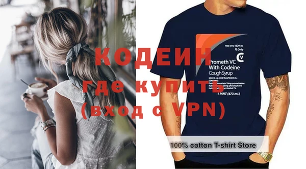 хмурый Новозыбков