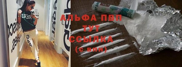 хмурый Новозыбков