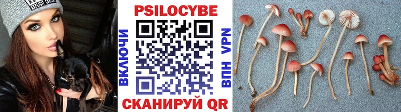 Галлюциногенные грибы Magic Shrooms  сколько стоит  Новая Ляля 